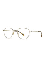 WG-YJKT - White Gold-Yellow Jacket Tortoise / 