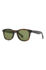 SPBRNSH/SFPGN PLR - Spotted Brown Shell/Semi-Flat Pure Green Polar / 
