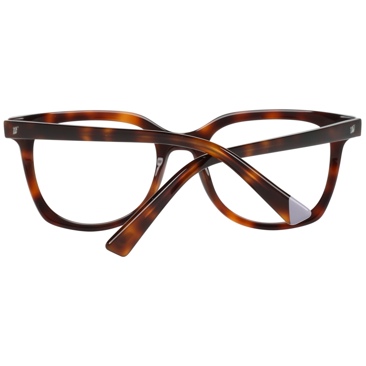 Brown/Demo glasses