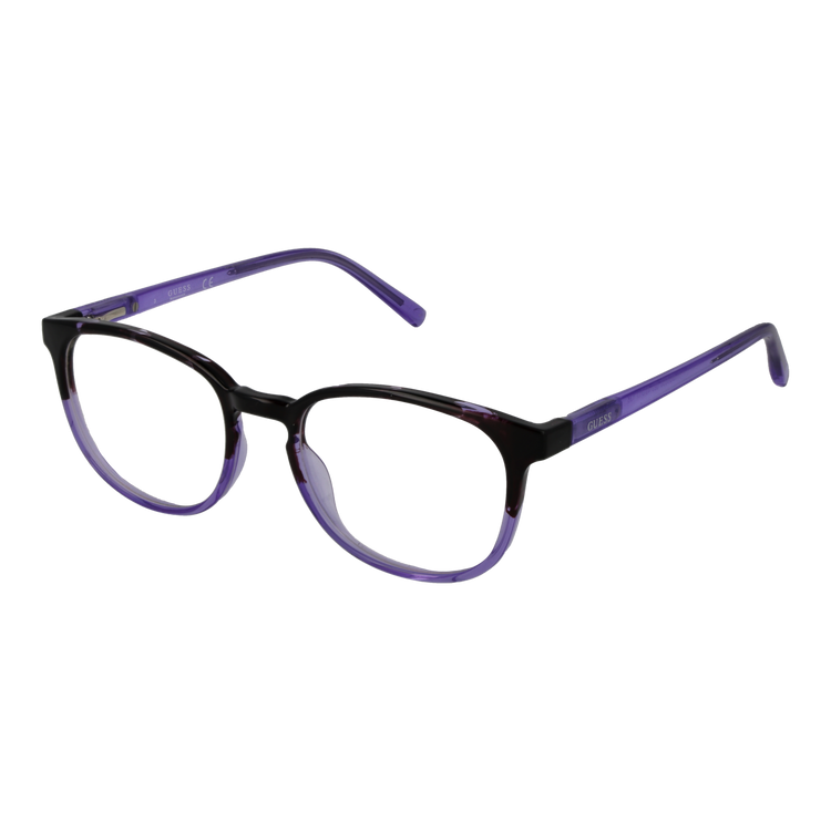Purple/Demo glasses