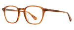 HBT - Honey Blonde Tortoise / 