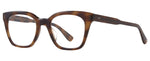 SPBRNSH - Spotted Brown Shell / 