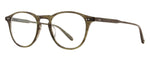 OT - Olive Tortoise / 