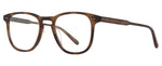 SPBRNSH - Spotted Brown Shell / 