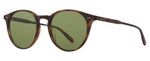 SPBRNSH/SFPGN - Spotted Brown Shell/Semi-Flat Pure Green / 