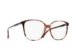 E305 - ALMOND TORTOISE / 