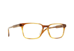 E508 - SANTA FE TORTOISE / 
