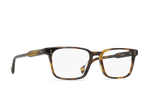 E128 - KOLA TORTOISE / 