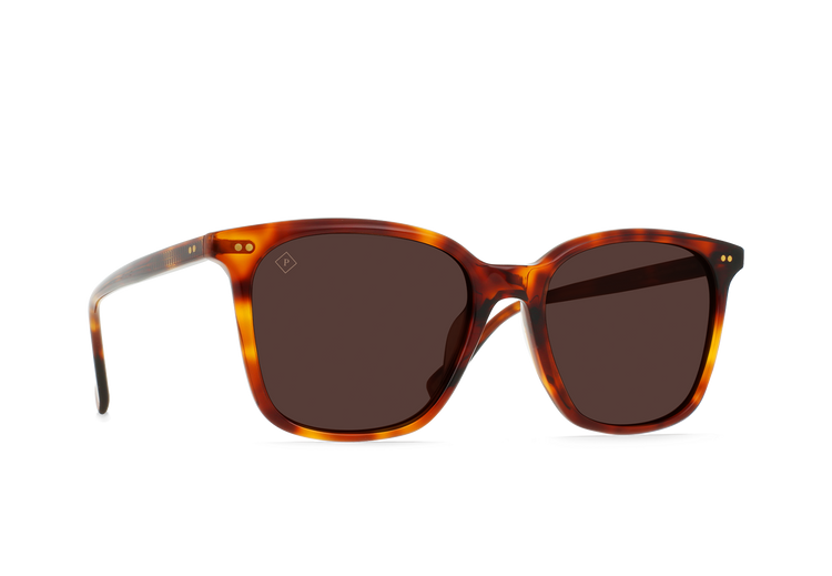 S489 - GOLDEN DAZE TORTOISE/DRIFT POLARIZED / Smoke