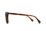 S489 - GOLDEN DAZE TORTOISE/DRIFT POLARIZED / Smoke