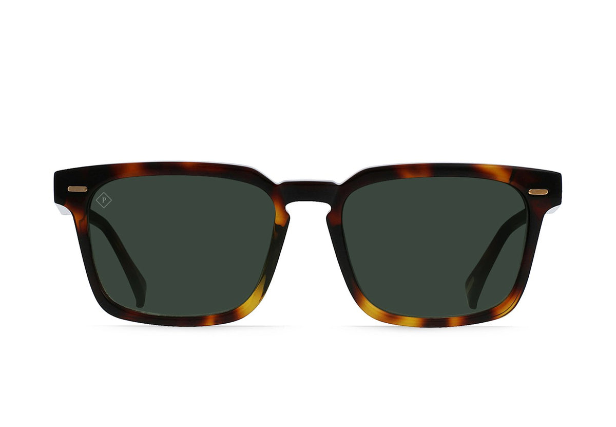 S242 - KOLA TORTOISE / GREEN POLARIZED / Green