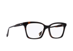 E128 - KOLA TORTOISE / 