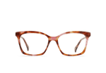 E502 - BONBON TORTOISE