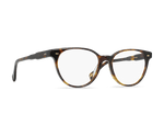E128 - KOLA TORTOISE / 