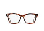 E305 - ALMOND TORTOISE
