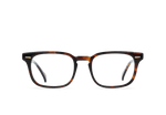 E128 - KOLA TORTOISE