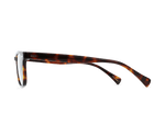 E128 - KOLA TORTOISE