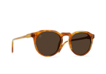 S494 - SANTA FE TORTOISE/VIBRANT BROWN POLARIZED / Brown