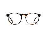 E128 - KOLA TORTOISE