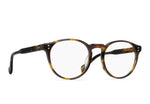 E128 - KOLA TORTOISE / 