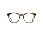 E117 - BRINDLE TORTOISE