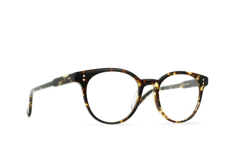 E117 - BRINDLE TORTOISE