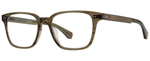 OT - Olive Tortoise / 