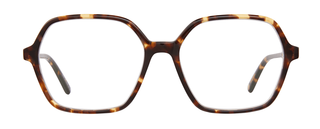AGT - Agate Tortoise