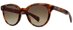 WGLENT/SFUMG - Woodglen Tortoise/Semi-Flat Umber Gradient / 