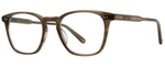 OT - Olive Tortoise / 