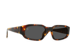 S793 - SCOUT TORTOISE/VIBRANT BROWN POLARIZED / 