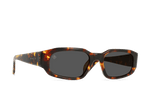 S793 - SCOUT TORTOISE/VIBRANT BROWN POLARIZED