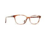 E502 - BONBON TORTOISE / 