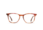 E502 - BONBON TORTOISE