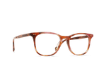 E502 - BONBON TORTOISE