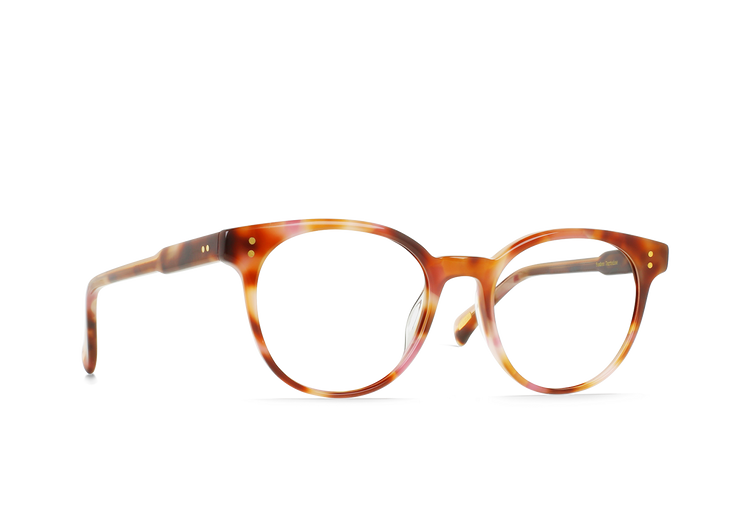E502 - BONBON TORTOISE
