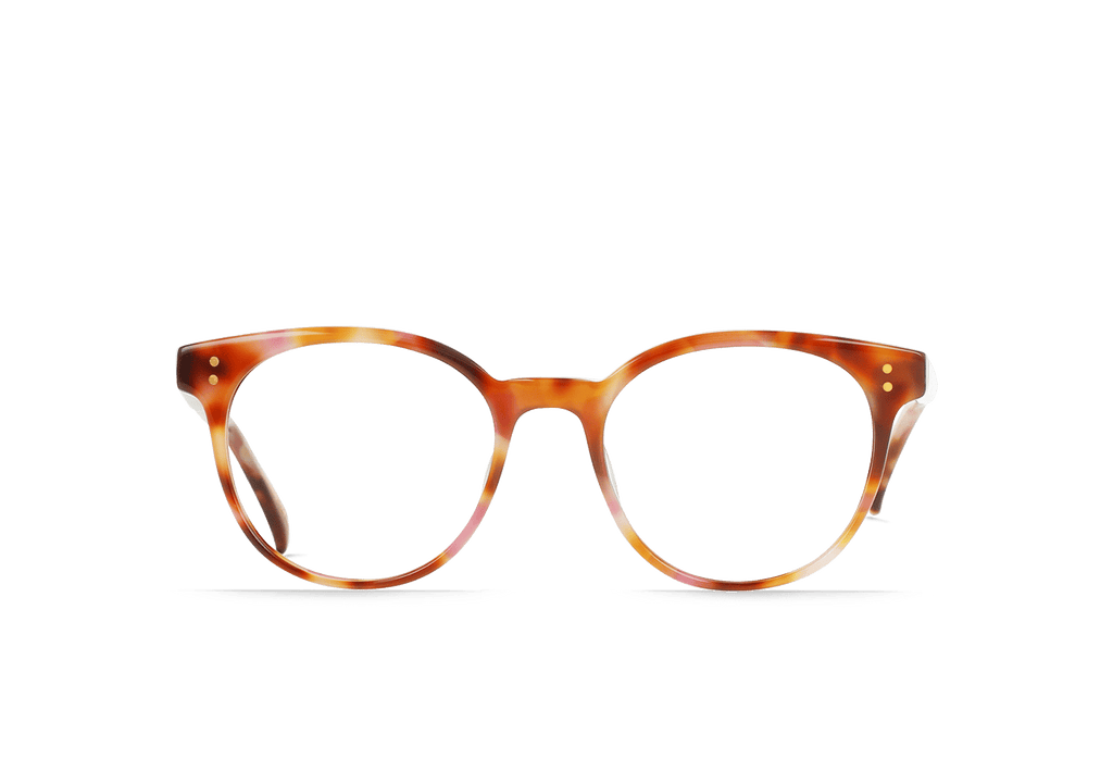 E502 - BONBON TORTOISE