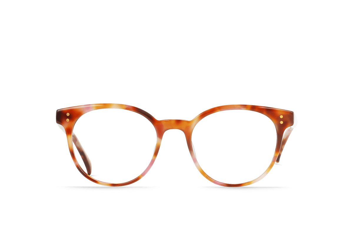 E502 - BONBON TORTOISE