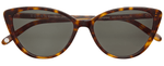 MGT/G15 - Marigold Tortoise/G15 / 