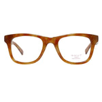 Brown/Demo glasses