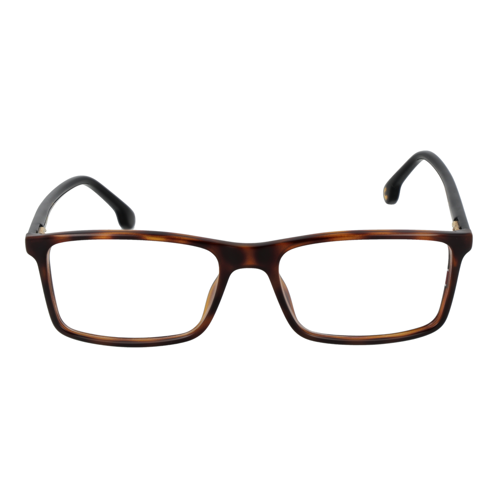 Brown/Demo glasses