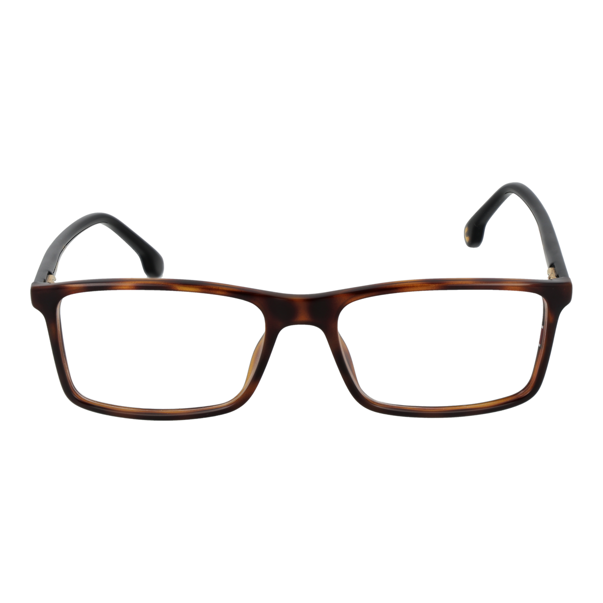Brown/Demo glasses