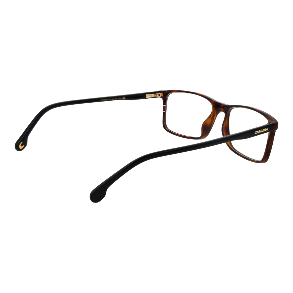 Brown/Demo glasses