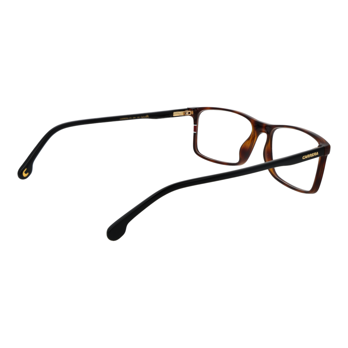Brown/Demo glasses