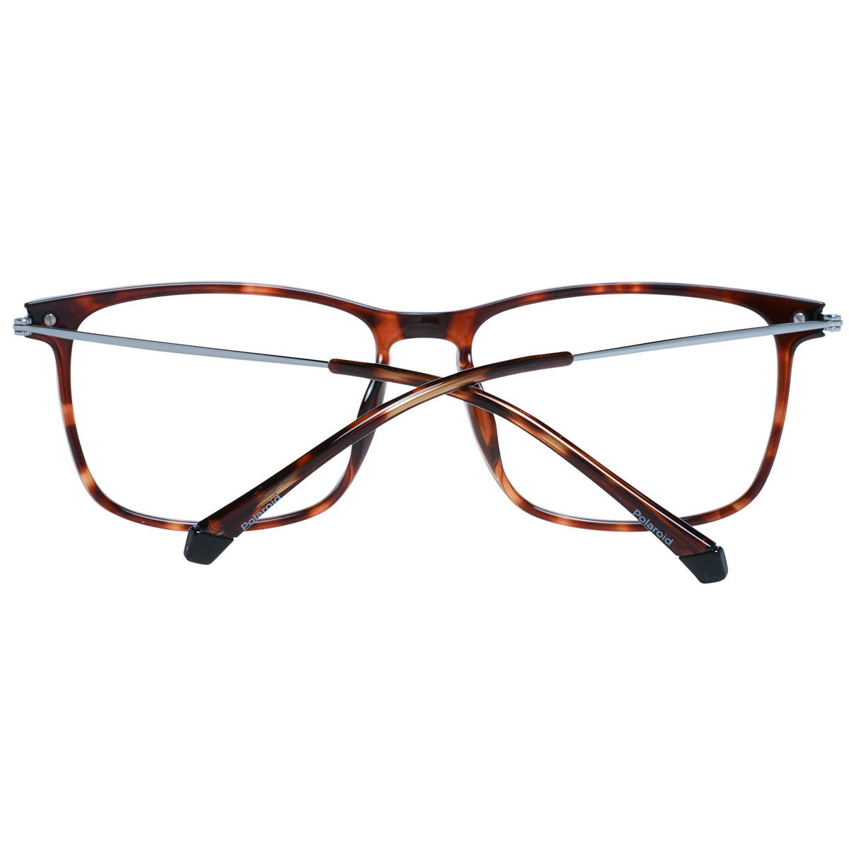 Brown/Transparent