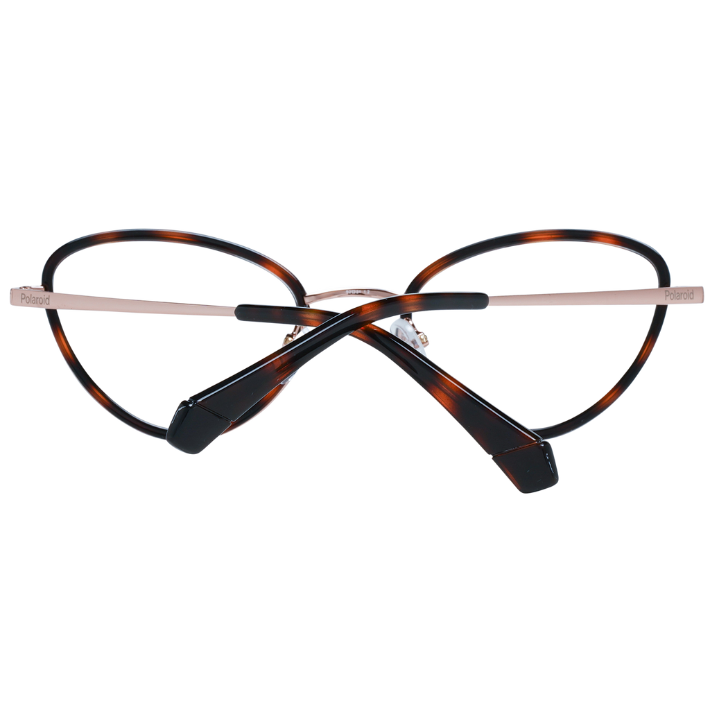 Brown/Transparent