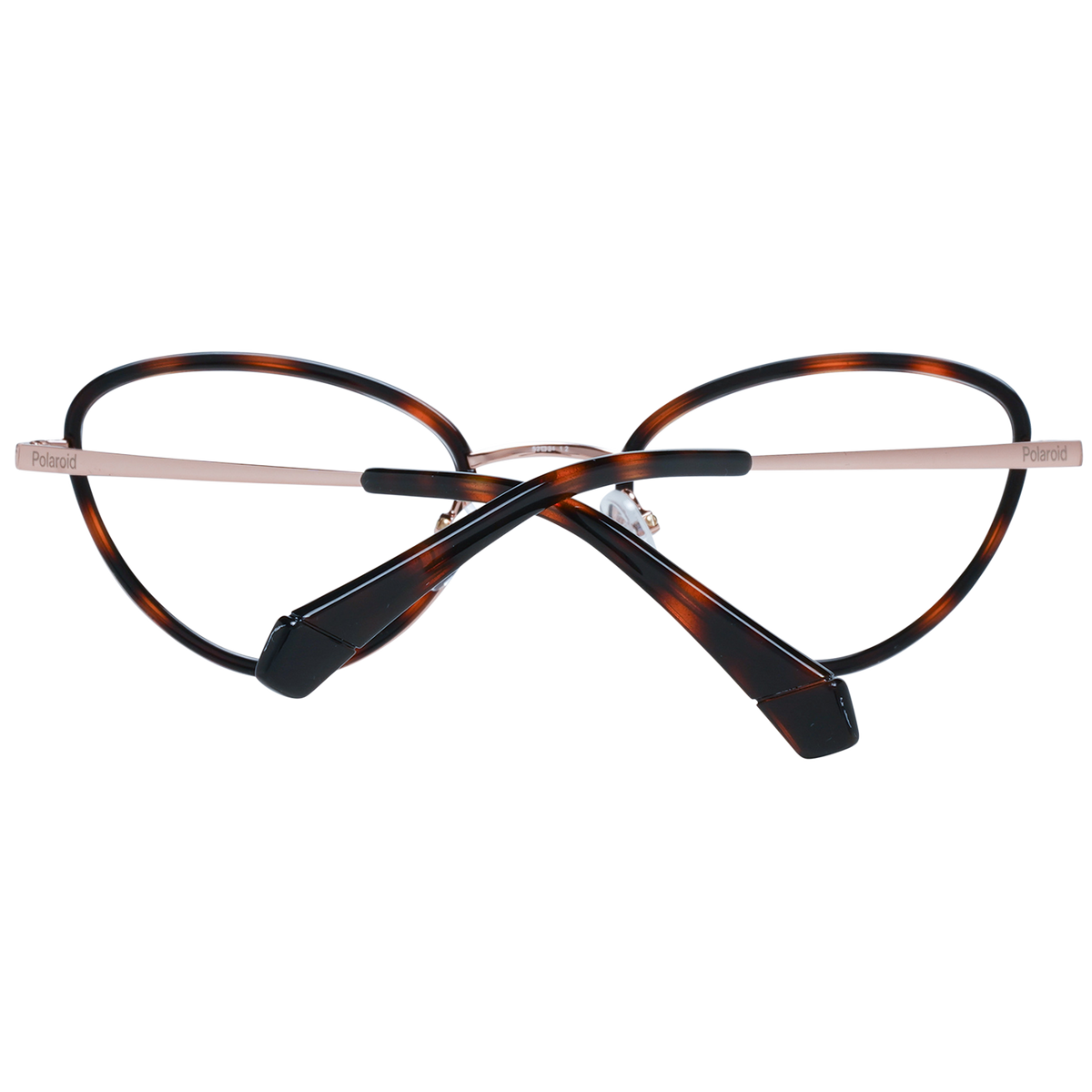 Brown/Transparent
