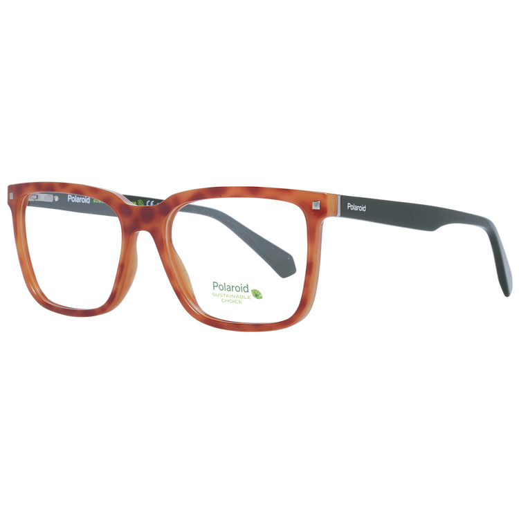 Brown/Demo glasses