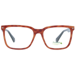 Brown/Demo glasses