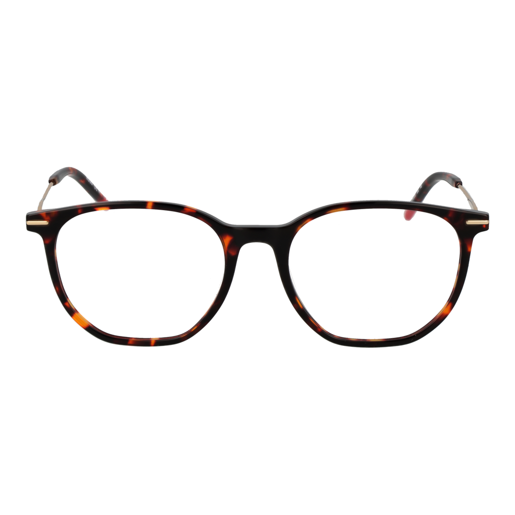 Brown/Demo glasses
